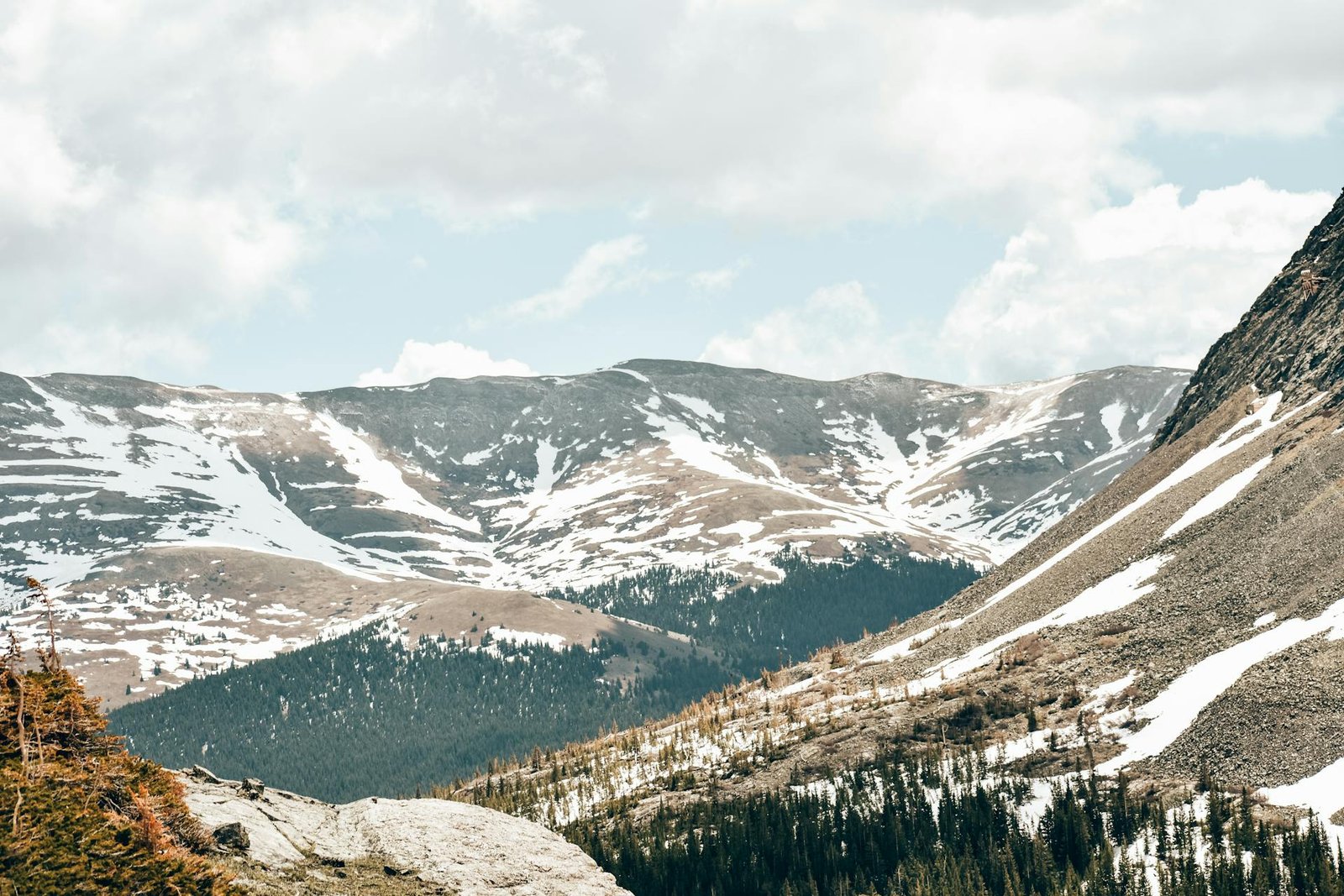 Colorado Backflow Prevention Laws