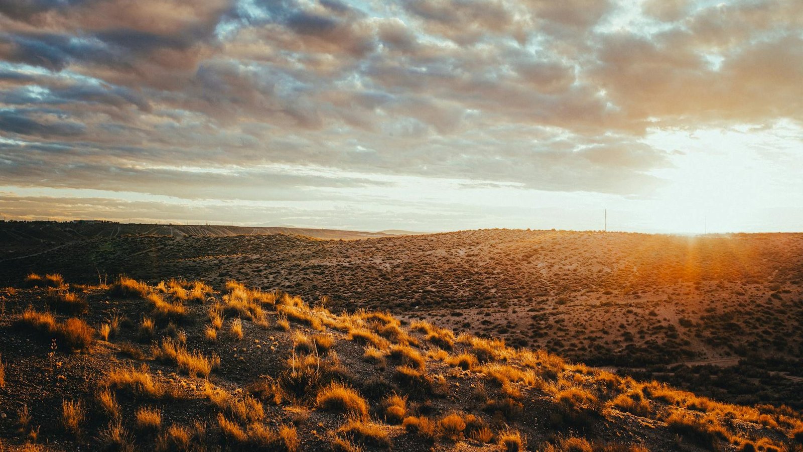 Backflow Testing in New Mexico
