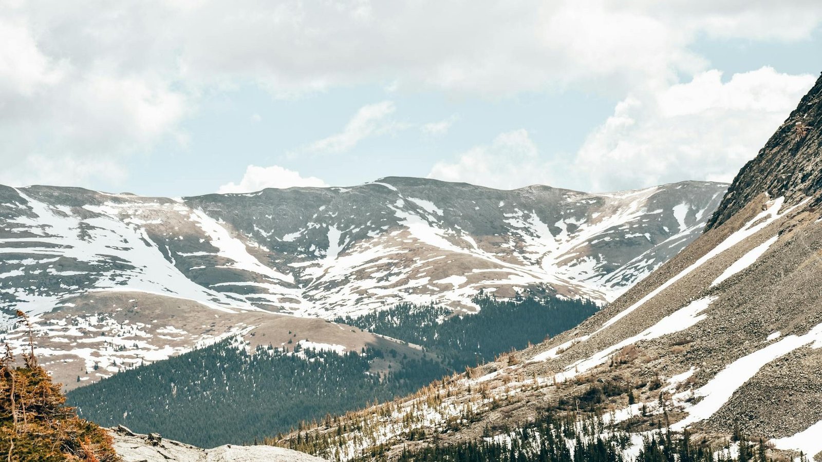 Colorado Backflow Prevention Laws