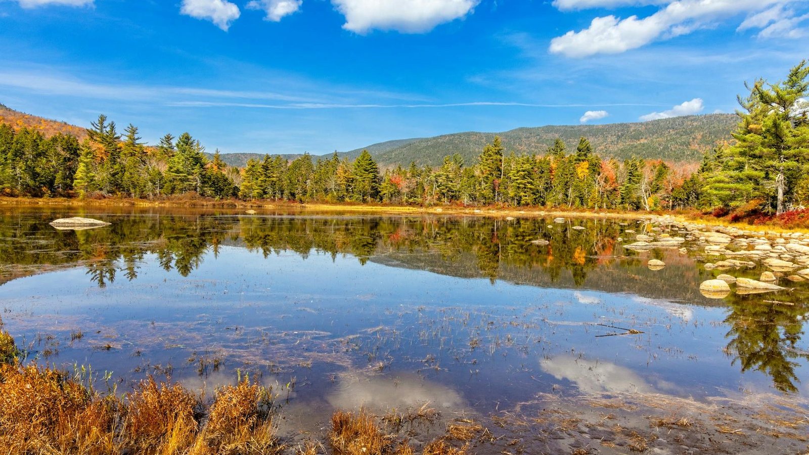 New Hampshire Backflow Prevention Laws